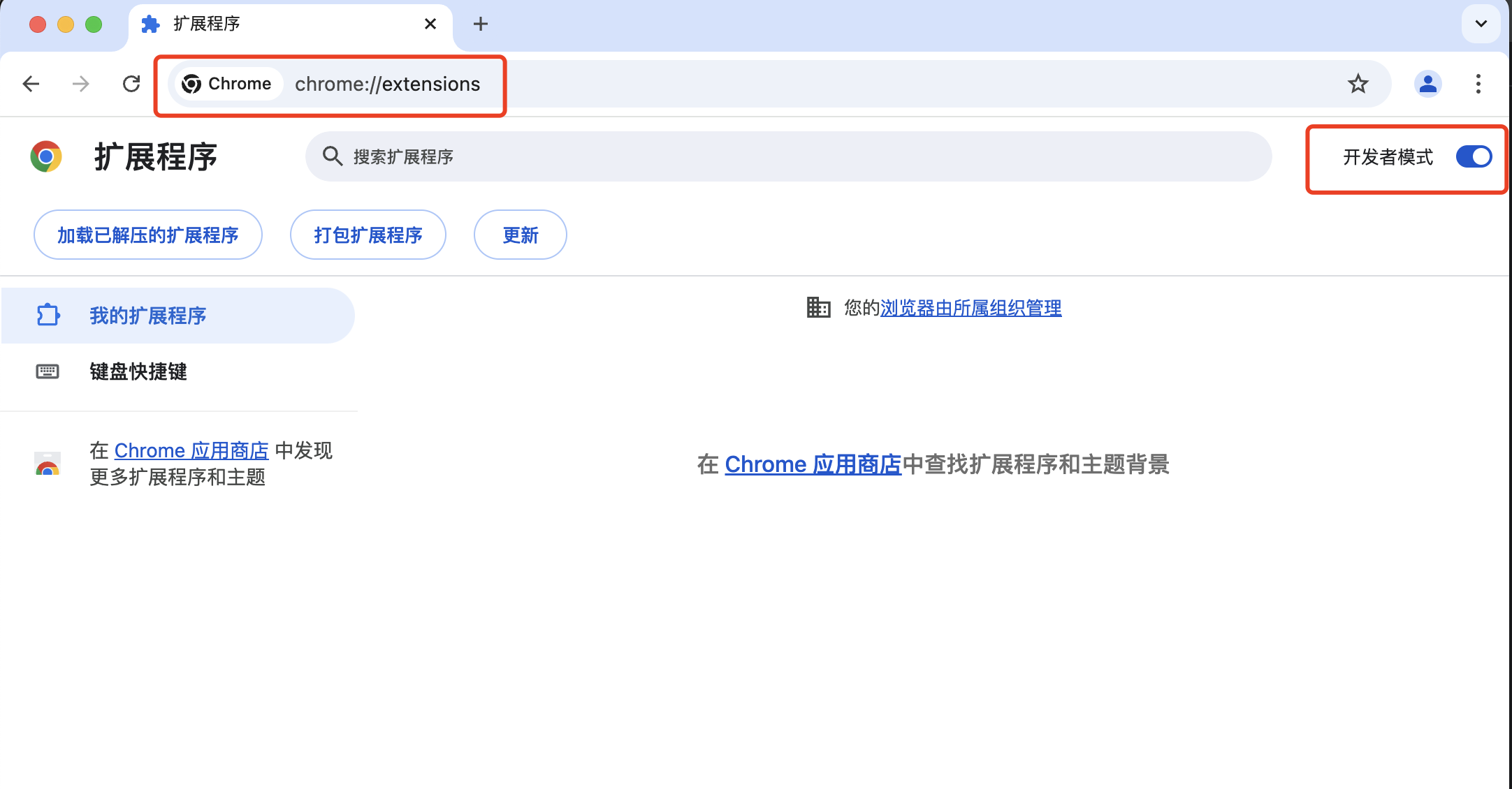 开发者模式开关